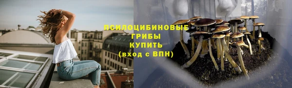 герыч Алексин