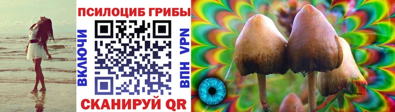 Псилоцибиновые грибы MAGIC MUSHROOMS  darknet формула  Мещовск 